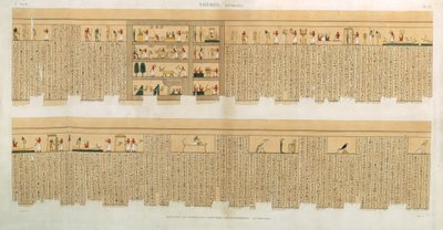Kuvia Pampuksen käsikirjoituksesta, jossa on hieroglyfit, Hypogees, Thebes, levy 75 julkaisun "Descriptions of Egypt" osasta II, kaiverrus Willemin, pub. 1822 (akvatinta) tekijältä French School