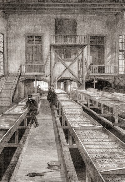 1800-luvun kalanviljelylaitoksen sisustus Huninguessa Ranskassa, Les Merveilles de la Science, julkaistu n. 1870 (kaiverrus) tekijältä French School