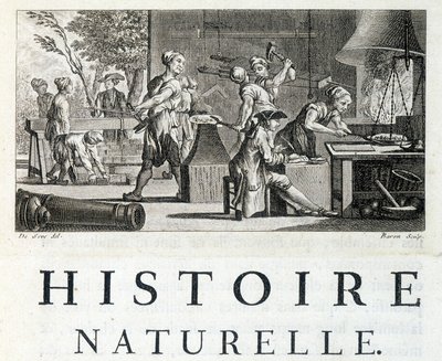 Takon sisustus - Buffonin "" Luonnonhistoriassa, yleistä ja erityistä" -kirjassa tekijältä French School