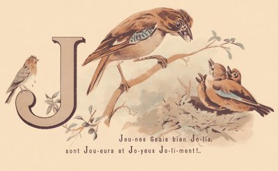 J: Young Jays Pretty ovat pelaajia ja onnellinen Jolily! tekijältä French School