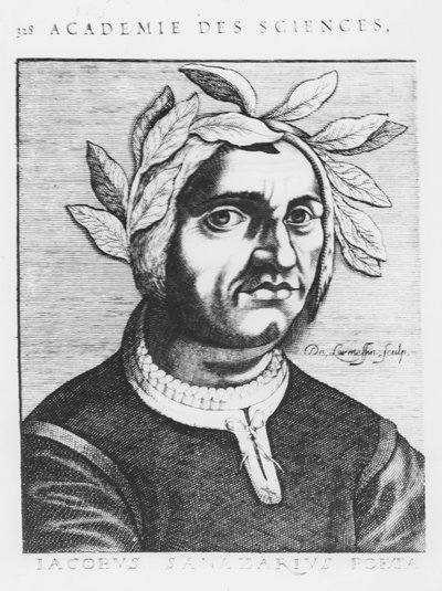 Jacopo Sannazaro (kaiverrus) tekijältä French School