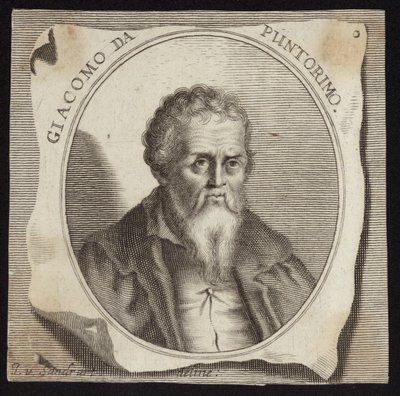 Jacopo da Pontormo tekijältä French School