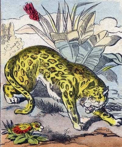 Jaguar. Kaiverrus "Buffon Alphabet des Animaux". 3. sarja N 1. Epinal, Epinal, 1800-luvun loppu. Kuvaus. 16 sivua. Mitat: 28x21cm tekijältä French School