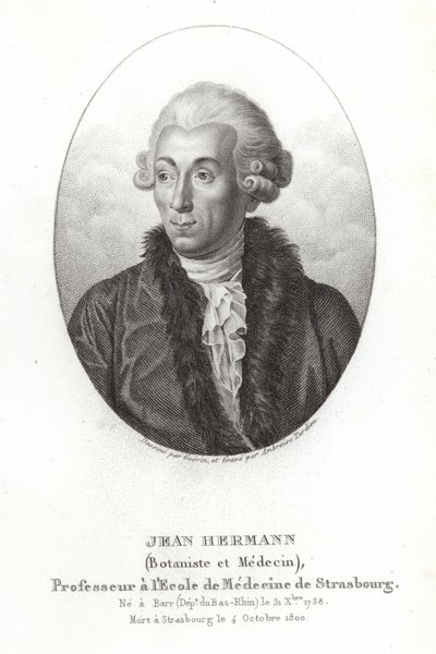 Jean Hermann tekijältä French School
