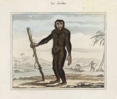 Huonekalut ja erilaiset esineet 1100- ja 1300-luvuilta tekijältä French School