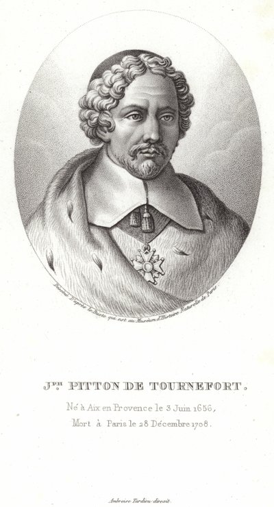 Joseph Pitton de Tournefort tekijältä French School