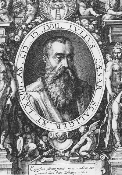 Julius Caesar Scaliger (kaiverrus) tekijältä French School
