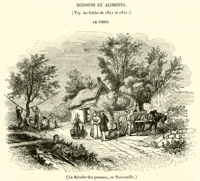 Omenoiden sadonkorjuu Normandiassa (kaiverrus) tekijältä French School