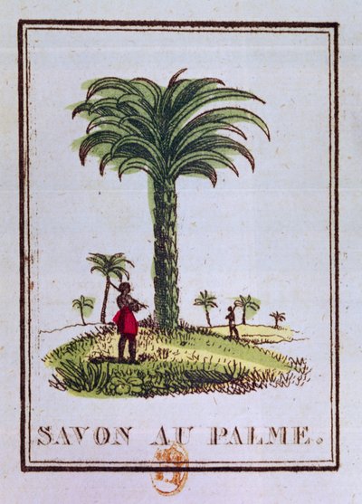 Palmuöljyn tuoksuisen saippuan etiketti, joka kuvaa palmua tekijältä French School