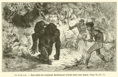 Gorilla (kaiverrus) tekijältä French School