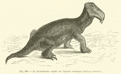 Dikynodontti, matelija triasskaudelta, Etelä-Afrikka (kaiverrus) tekijältä French School