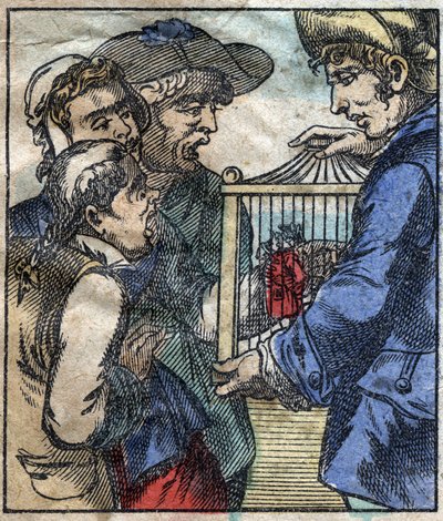Lemuel Gulliver häkissä näytetään Brobdingnagin jättiläisille. Kuvitus Jonathan Swiftin (1667-1745) elokuvaan "" Gulliver