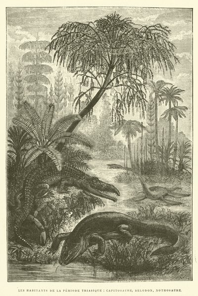 Triaskauden asukkaat, capitosaurus, belodon, nothosaurus (kaiverrus) tekijältä French School