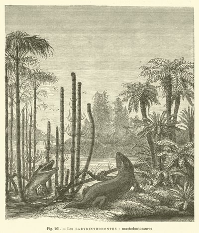 Les labyrinthodontes, mastodontosaures (kaiverrus) tekijältä French School