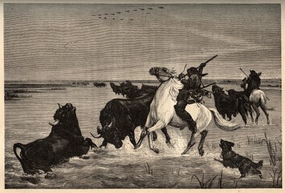 Camarguen härät (nautarotu) vayson-maalauksen jälkeen - kaiverrus kirjaimella "" PATRIE" - kaiverrus "" PATILE"" - KUVAUS PINTUREQUIRESSE DE LA FRANCE 6 NITEESSÄ LUCIEN HUARD - 1800-luvun loppu tekijältä French School