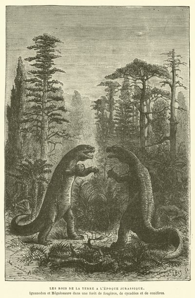 Maan kuninkaat Jurassic-kaudella (kaiverrus) tekijältä French School