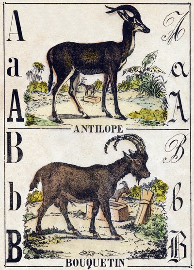Kirjain A antilooppi; B Ibex. Kaiverrus "" Alphabet des animaux sauvages"". 9. sarja. Kuvia Epinalista, Pellerin, paino-kustantaja, noin 1870. Kaiverrukset puuhun, stenciloitu. 16 sivua. Mitat: 20 x 15 cm. Yksityinen kokoelma tekijältä French School