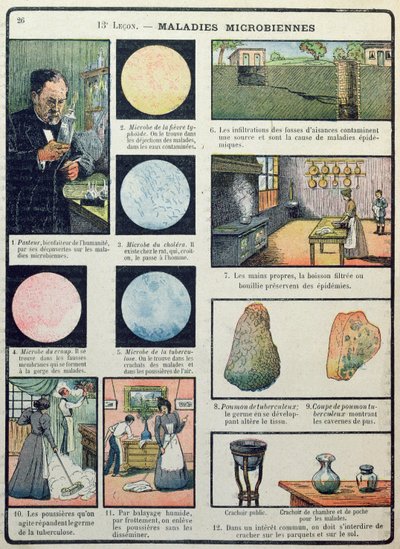 Louis Pasteur (1822-95) ja bakteeritaudit, Les Sciences Physiques et Naturelles, Pariisi, 1908 tekijältä French School
