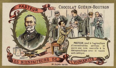 Louis Pasteur, ranskalainen kemisti ja mikrobiologi (chromolitho) tekijältä French School