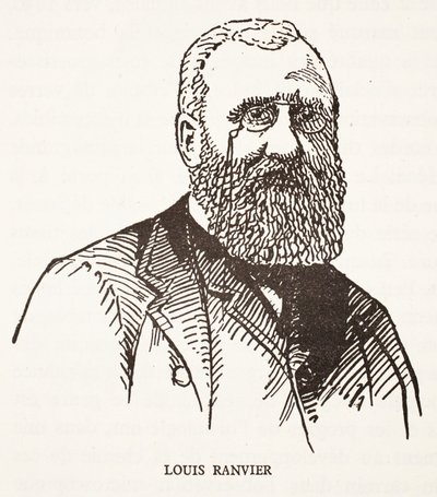 Louis Ranvier tekijältä French School