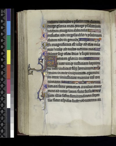 MS 300 f.61v, folio Psalterista ja Isabellan tunteista, Pariisi, n. 1265-1270 tekijältä French School
