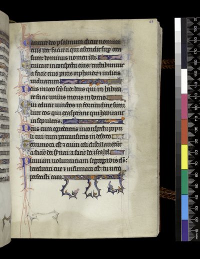 MS 300 f.68r, folio Psalterista ja Isabellan tunteista, Pariisi, n. 1265-1270 tekijältä French School