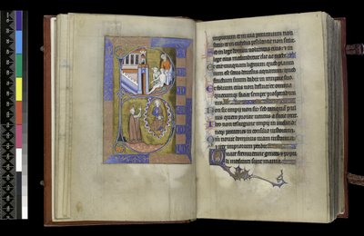 MS 300 f.XIII-1r, Psalter and Hours of Isabella of France, Paris, n. 1265-1270 (kynä & muste ja tempera pergamentilla) tekijältä French School