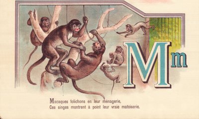 M: Makakit esitteitä eläintarhassaan, Nämä apinat näyttävät todellisen matoiseriensä tekijältä French School