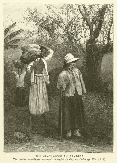 Madame Hlawaczek Au Zambese (kaiverrus) tekijältä French School