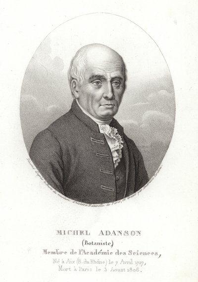Michel Adanson tekijältä French School