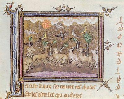 Ms 1044 fol.18 The Creation of the Animals, Ovide Moralisesta kirjoittanut Chretien Legouais tekijältä French School