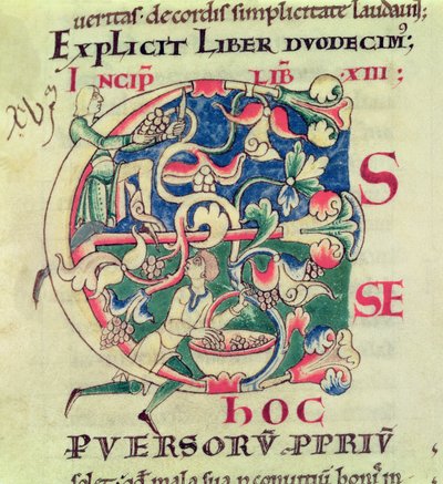 Ms 173 f.32 Historioitu alkukirjain E, joka kuvaa rypäleen satoa, Moralia in Job, paavi Gregorius Suuren tekijältä French School