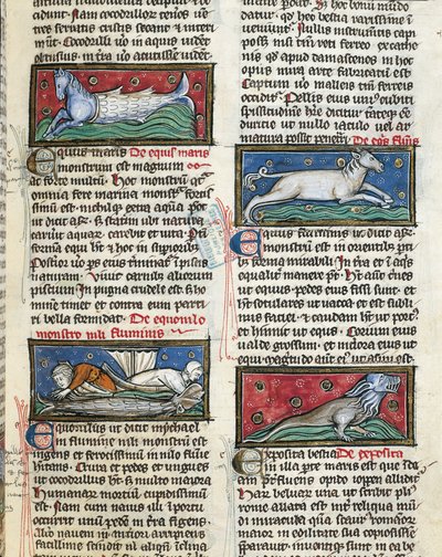 Ms 320 Fol.115r Sea Monsters, Thomas van Cantimpren (1201-72) De Natura rerumista (vellum) tekijältä French School