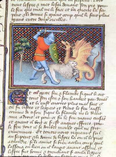 Ms 3480 Yvain, ritari leijonan kanssa taistelee lohikäärmettä vastaan, pienoiskuva Roman de Lancelotilta tekijältä French School
