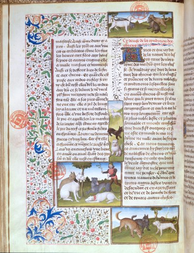 Ms 3717 metsästyskoiria, Livre de la Chassesta, kirjoittanut Gaston Phebus de Foix (1331-91) (vellum) tekijältä French School