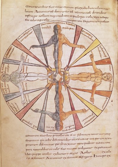 Ms 422 fol.6v Vuodenaikojen ja kuukausien pyörä, De Natura Rerum, kirjoittaja St. Isidore of Sevilla tekijältä French School