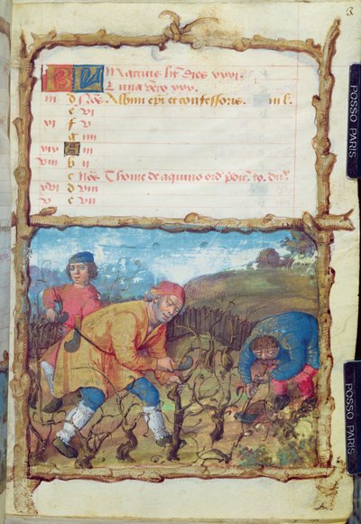 Ms 438 Maaliskuun kuukausi: Viiniköynnösten karsiminen, tuntikirjasta, 1490 tekijältä French School