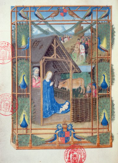 Ms 473 Syntymä riikinkukkojen kanssa, pienoismalli Heures de Charles de Francesta, n. 1466-69 tekijältä French School