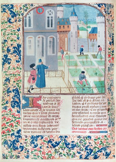 Ms 5064 f.151v The Garden, kuvitus Pietro de Crescenzin (1230-132021) Le Livre des Prouffitz Champestresista tekijältä French School
