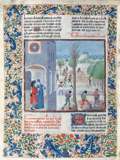 Ms 5064 f.299v Ammatit jokaiselle vuoden kuukaudelle, kuva Pietro de Crescenzin (1230-132021) Le Livre des Prouffitz Champestresista tekijältä French School