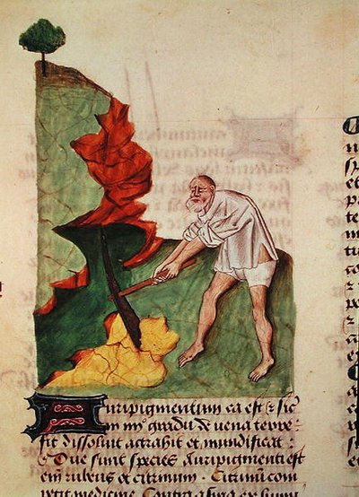 Ms 59 fol.3v Etsitkö kultaa, Grand Herbier, Pedanius Dioscorides (n. 40-90) tekijältä French School