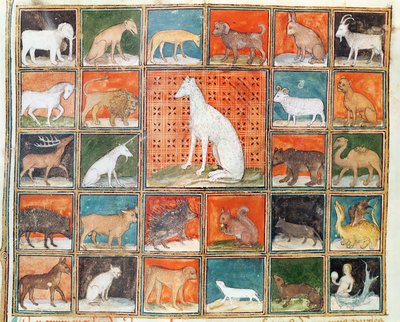 Ms 993 fol.254v The Properties of Beasts: The Mammals, Jean Cordichonin teoksesta Le Livre des Proprietes des Choses tekijältä French School