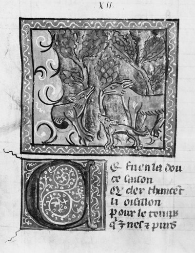 Ms Fr 1580 Kettu, susi ja koira, Le Roman de Renart tekijältä French School