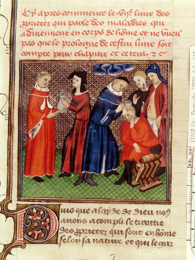 Ms Fr 22531 Fol.115 Virtsan tutkimus ja haavojen paraneminen, Barthelemy lAnglaisin teoksesta Le Livre des Proprietes des Choses, n. 1410-1515 tekijältä French School