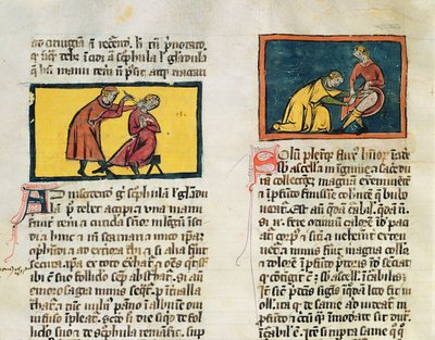 Ms H 89 Lääkärit parantavat sairaita, Rogier de Salernen kirjasta Book of Surgery tekijältä French School