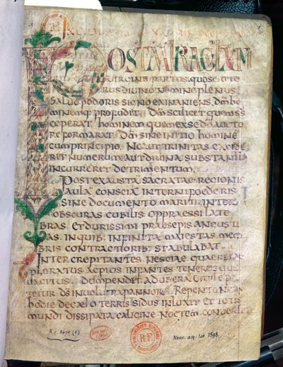 Ms Lat 1598 Fol.1 Zoomorfinen historiallinen alkukirjain P, Pyhän Augustinuksen (354-430) teoksesta tekijältä French School