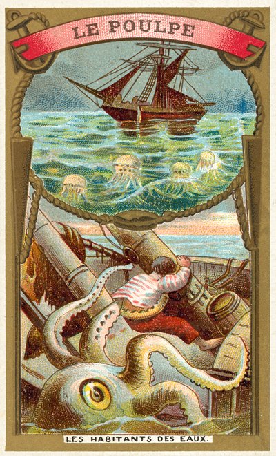 Mustekala (chromolitho) tekijältä French School