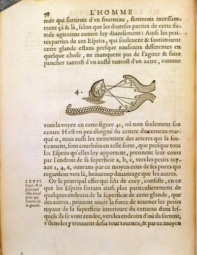 Optinen kaavio Rene Descartesin (1596-1650) De Homine Figurisista, julkaistu Haagissa, 1662 tekijältä French School