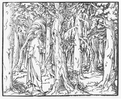 Sivu Francesco Colonnan "Discourse on the Dream of Poliphile", 1546 tekijältä French School