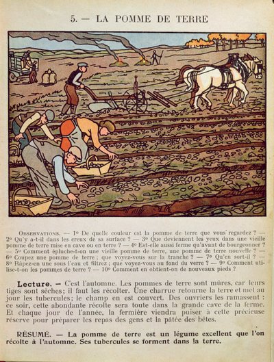 Sivu koulun oppikirjasta, joka havainnollistaa perunan viljelyä, n. 1910 tekijältä French School
